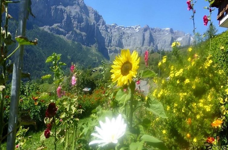 Appartement Chalet Abendstern