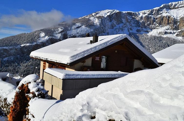 Appartement Chalet Abendstern