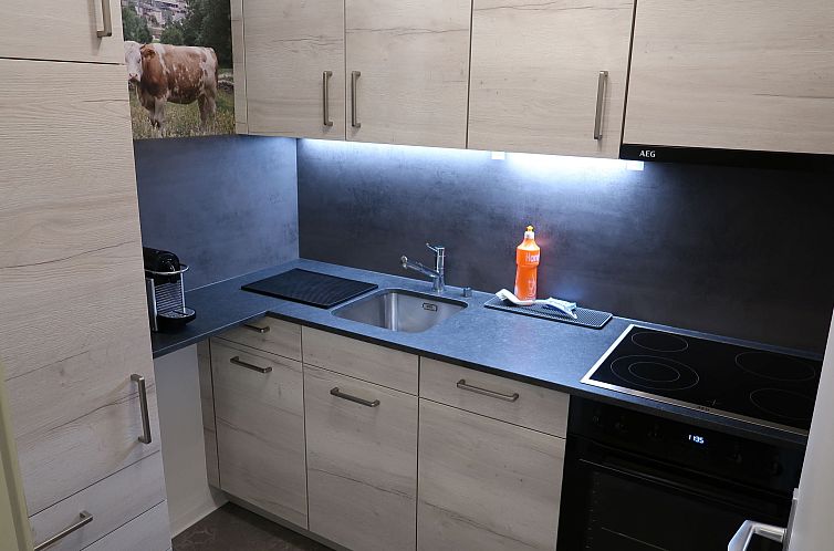 Appartement Ringstrasse (Utoring)