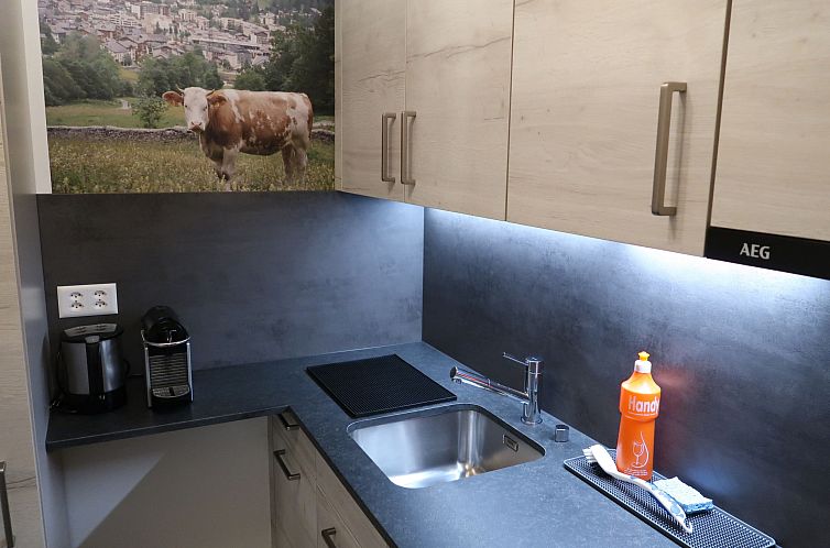 Appartement Ringstrasse (Utoring)