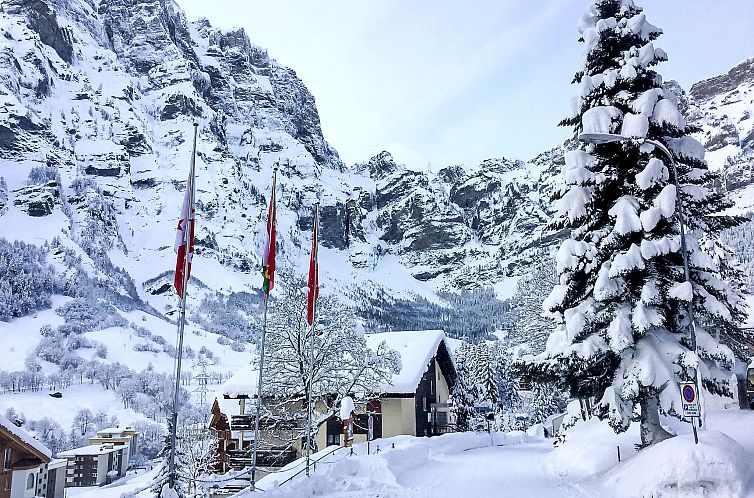 Appartement Ringstrasse (Utoring)