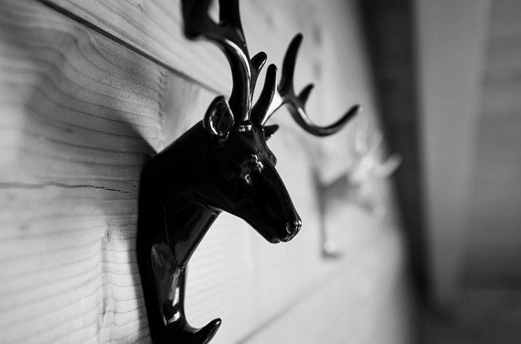 Appartement Mit Indoorrutschbahn