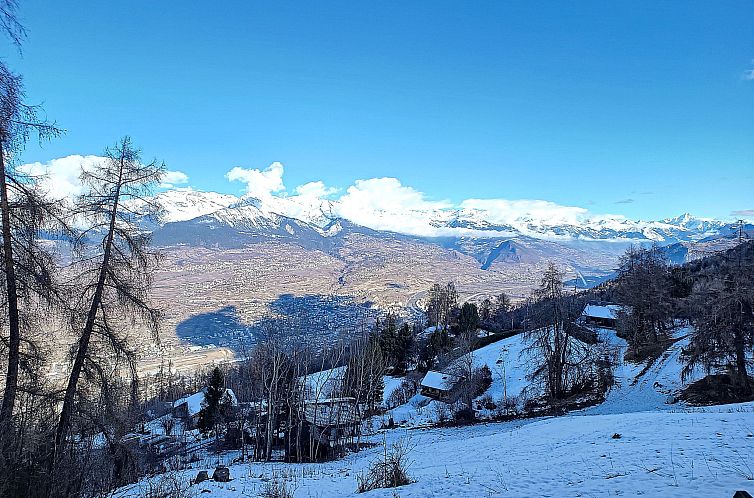 Appartement Bellevue L