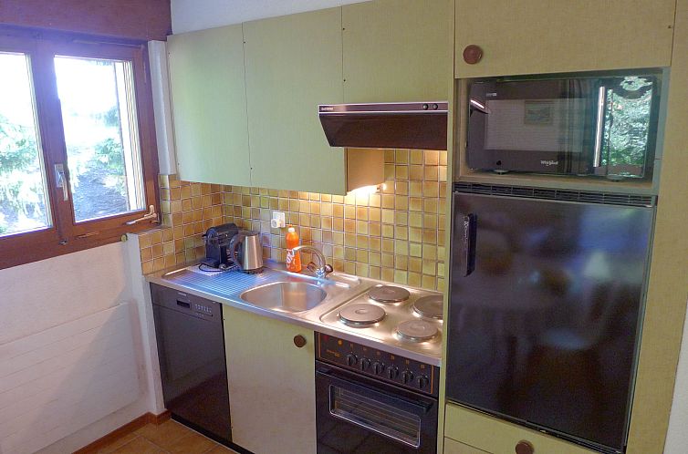 Appartement Terrasse Des Alpes 3008