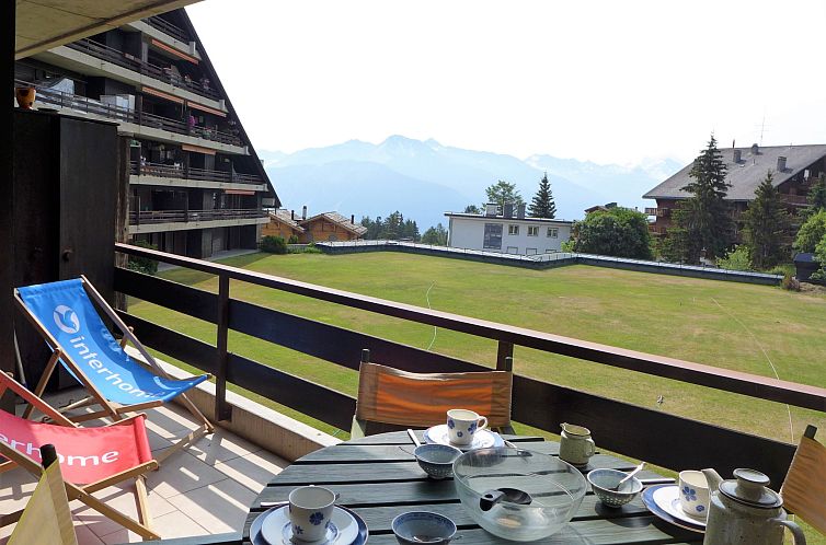 Appartement Victoria B 23