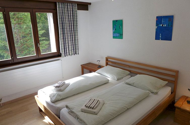 Appartement Terrasse Des Alpes 917