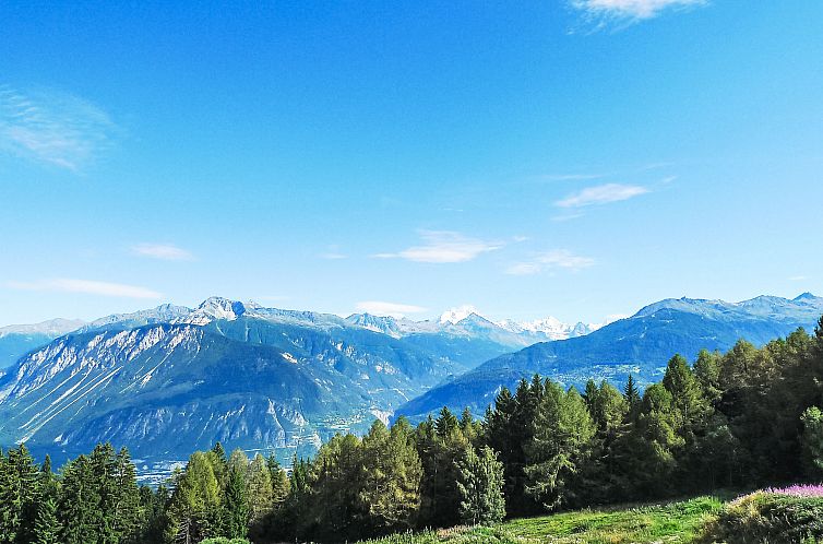 Appartement Mischabels 5