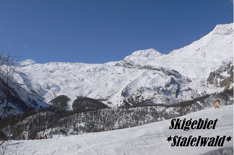 Appartement Snow-Fun B