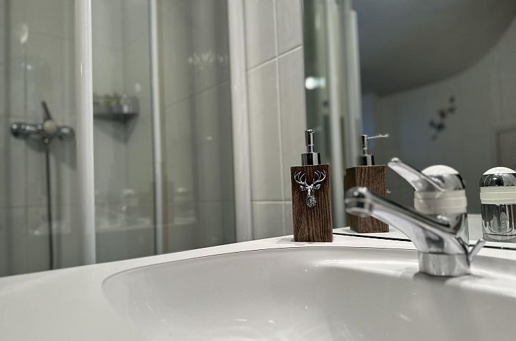 Appartement Ferienhaus Lomatte 1758