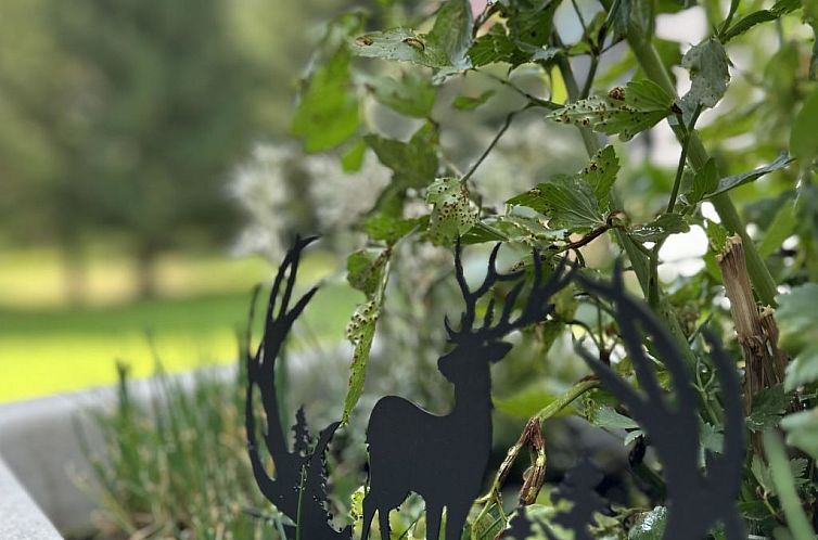 Appartement Ferienhaus Lomatte 1758