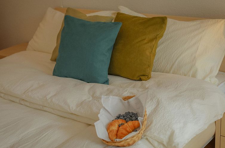 Guest house 18407112 - Apartment Wallis / Valais - Appartement 2-Bettwohnung Edelweiss A 2