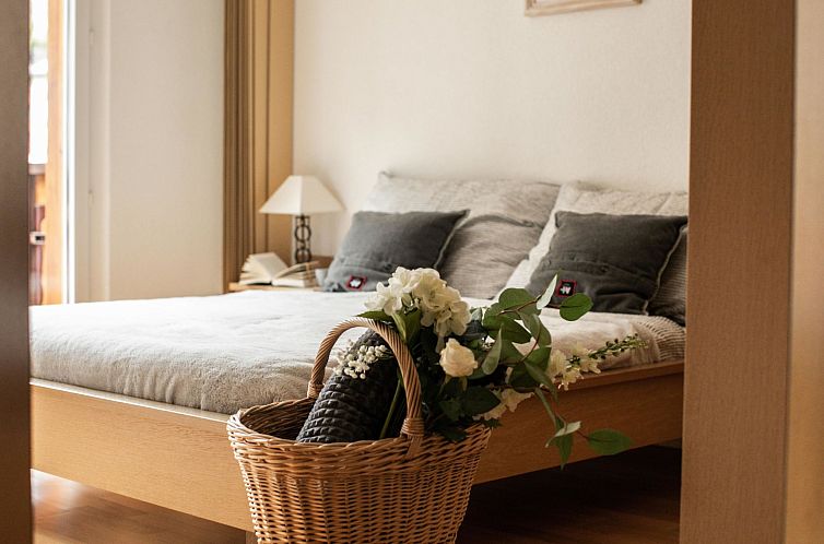 Appartement 2-Bettwohnung Edelweiss A 2