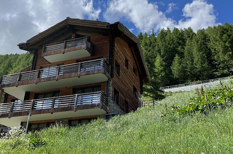 Appartement Chalet Pinacle 32 B Appartement/Fewo 8-Bettwohnu