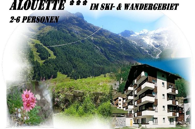 Appartement Alouette Appartement/Fewo 2-Bettwohnung Nr. 17