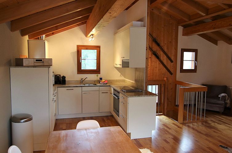 Appartement Mountain Village 10 Appartement/Fewo, Dusche und