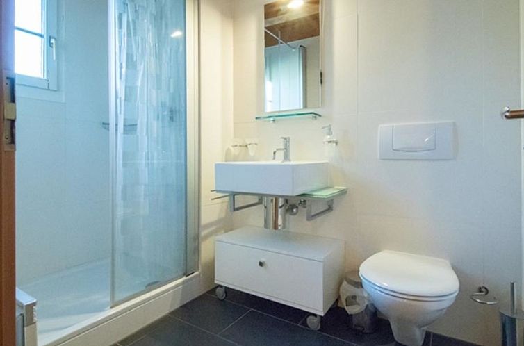 Appartement Mountain Village 10 Appartement/Fewo, Dusche und