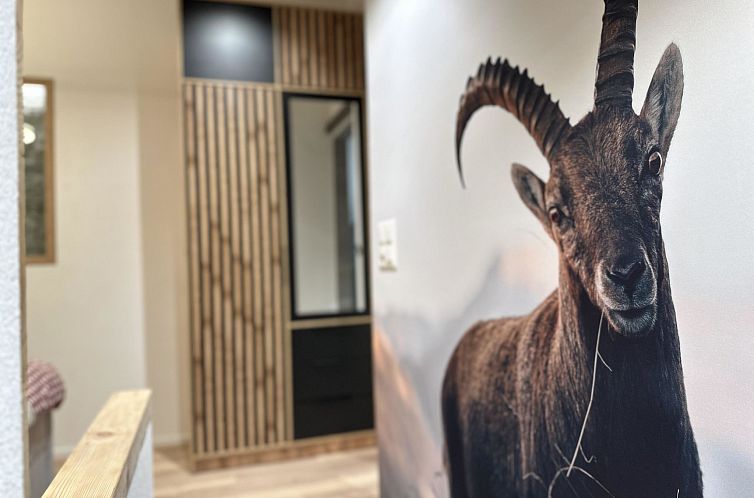 Appartement Tiny House IBEX Appartement/Fewo Appartement/Few