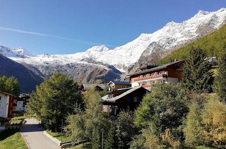 Appartement Floralpina