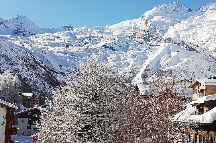 Appartement Floralpina