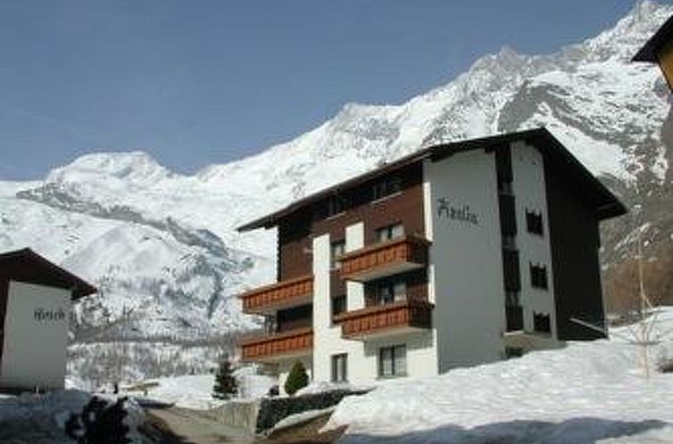 Appartement Azalea 2