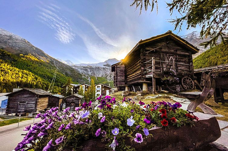 Appartement Helvetia Apartments