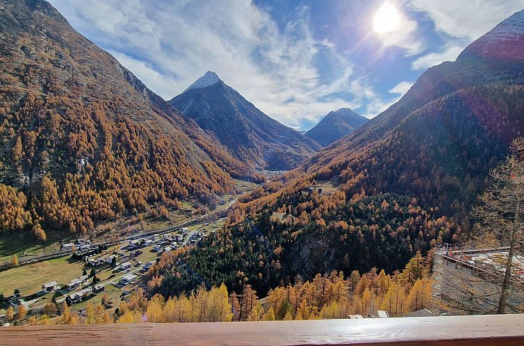 Appartement Les Mélèzes