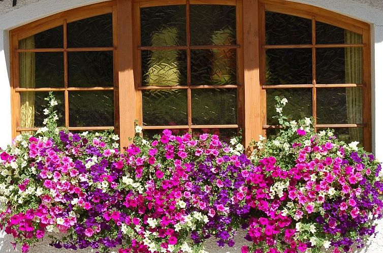 Appartement Swiss Chalet