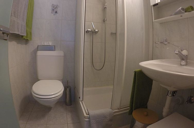 Appartement Swiss Chalet