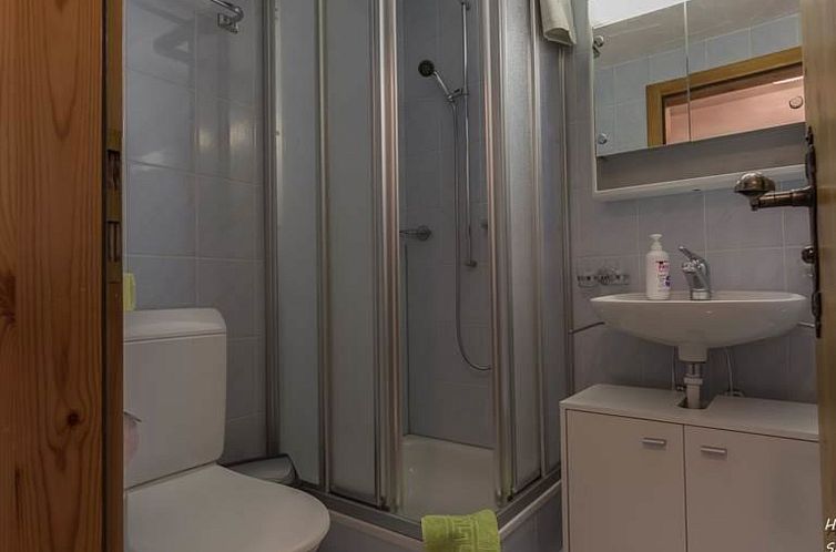 Appartement Bergfink