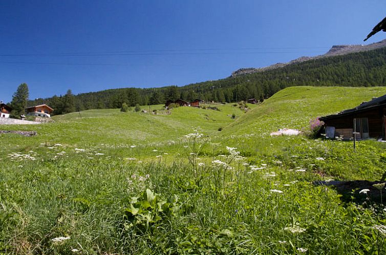 Vakantiehuisje in Grächen