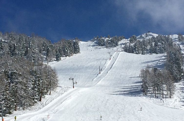 Vakantiehuisje in Grächen