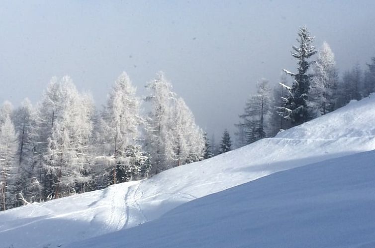Vakantiehuisje in Grächen