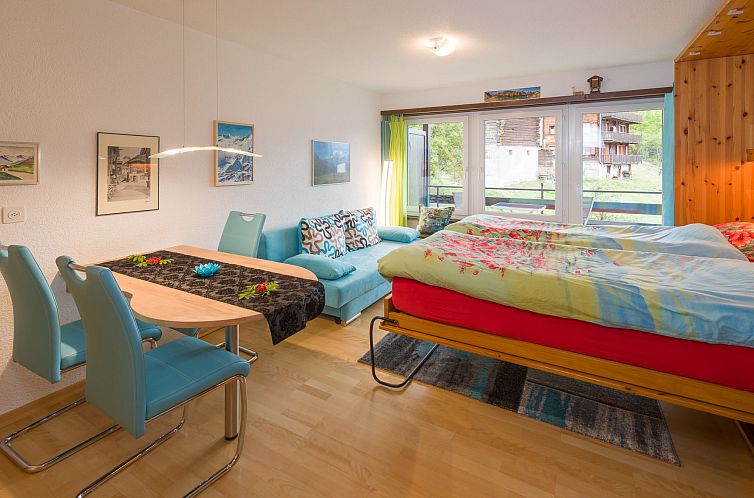 Appartement Silence / Studio Türkis, (Grächen), 1024