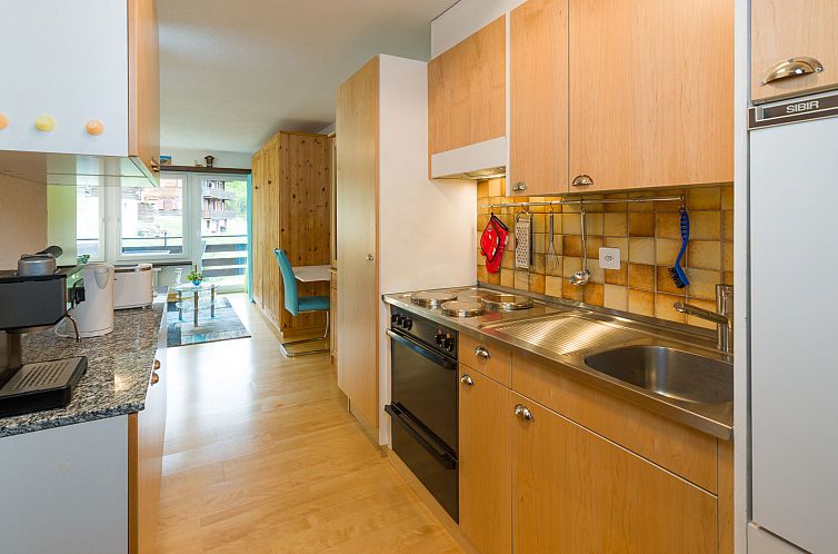 Appartement Silence / Studio Türkis, (Grächen), 1024