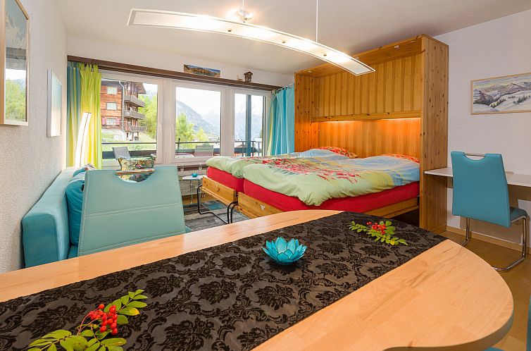 Appartement Silence / Studio Türkis, (Grächen), 1024