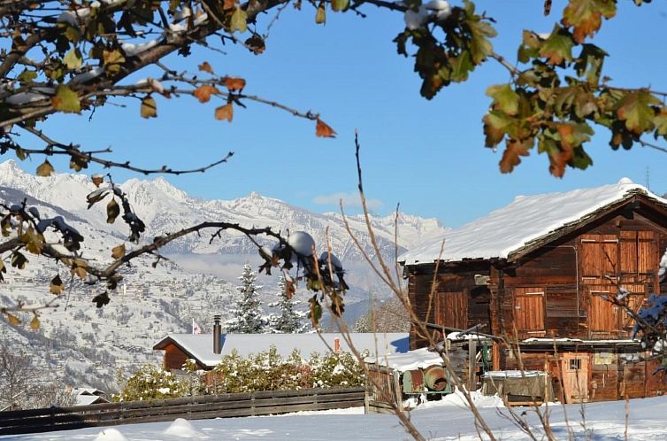 Appartement FeWo JUFA Grächen