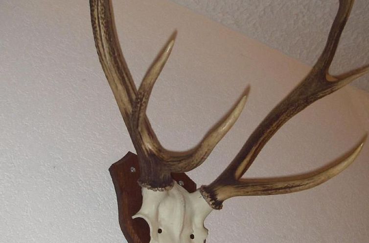 Appartement FeWo JUFA Grächen