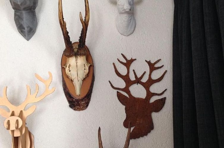 Appartement FeWo JUFA Grächen