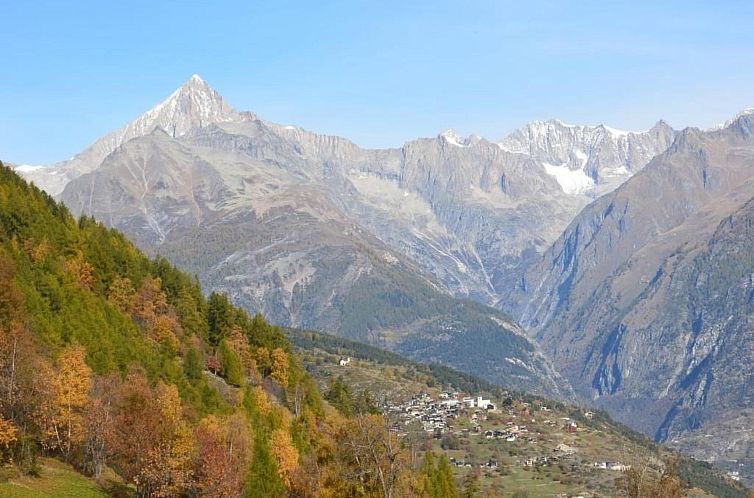 Appartement Gentiana Haus B
