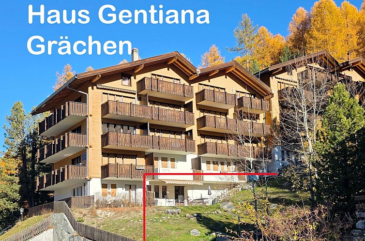 Appartement Gentiana Haus B