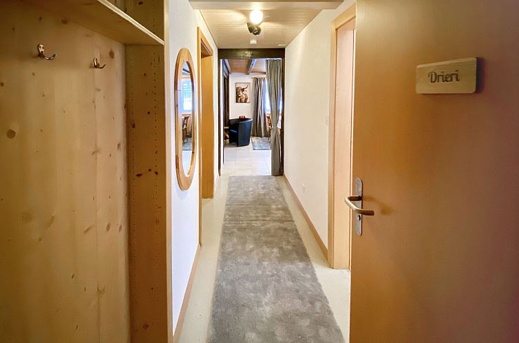 Appartement Chalet Jungtalblick Drieri