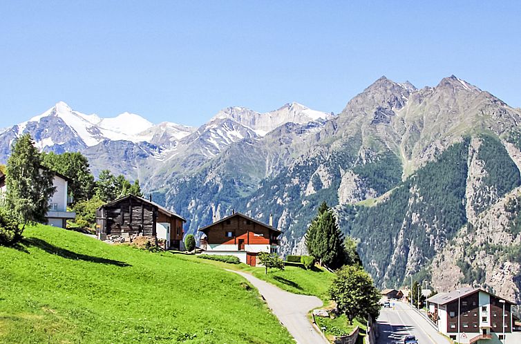 Appartement Bergfink Dachgeschoss