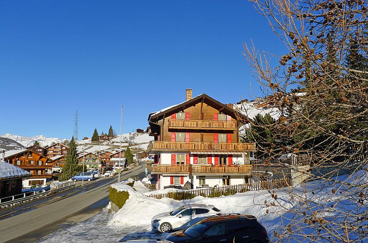 Appartement Bergfink Dachgeschoss