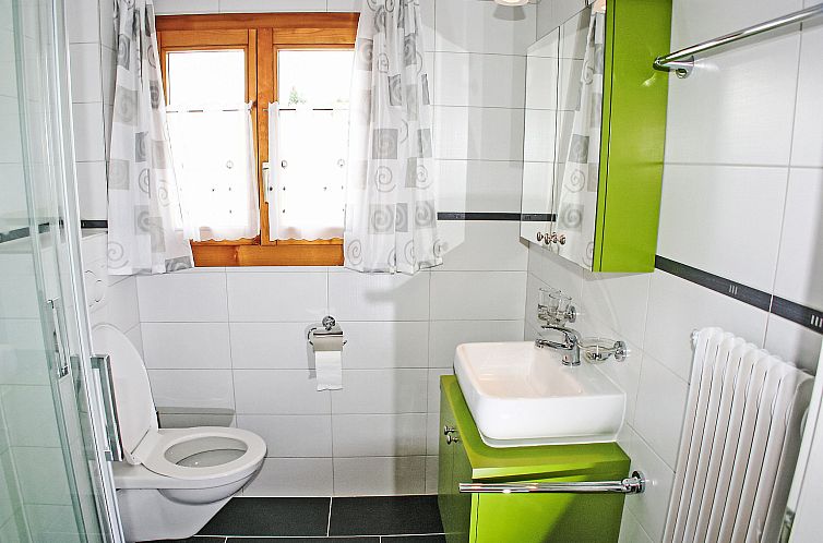 Appartement Bergfink Dachgeschoss