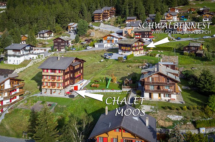 Appartement Chalet Ferienwohnungen Schwalbennest Moos Gräch