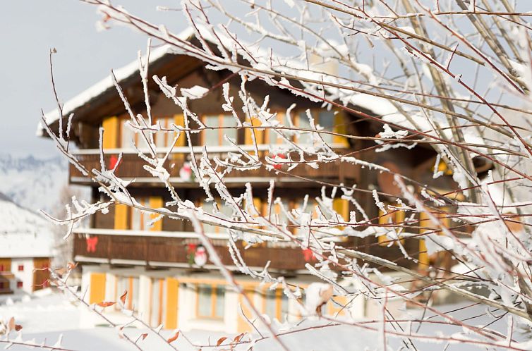 Appartement Chalet Ferienwohnungen Schwalbennest Moos Gräch
