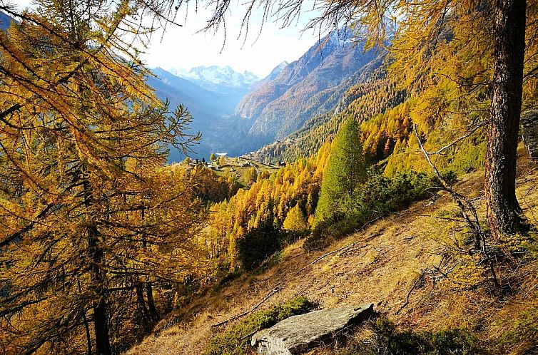 Appartement Chalet Ferienwohnungen Schwalbennest Moos Gräch