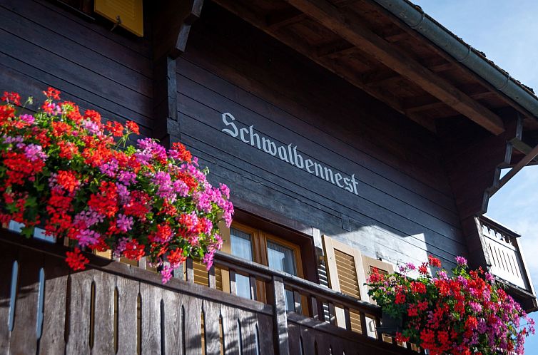 Appartement Chalet Ferienwohnungen Schwalbennest Moos Gräch