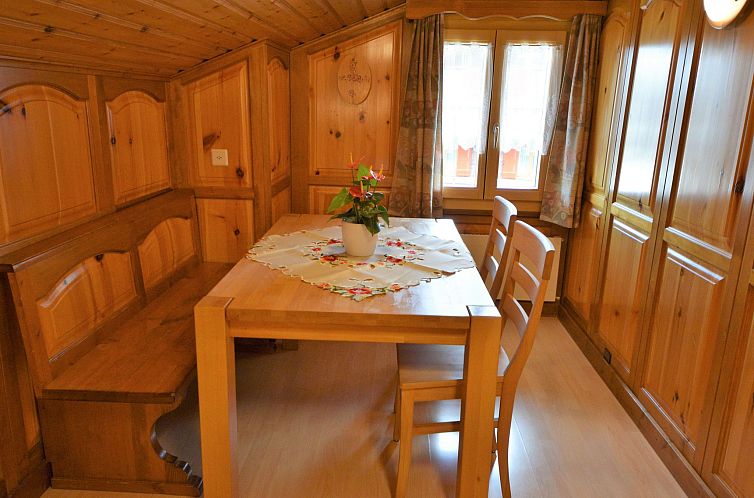 Appartement Glacier-Sport, (Grächen), 1053