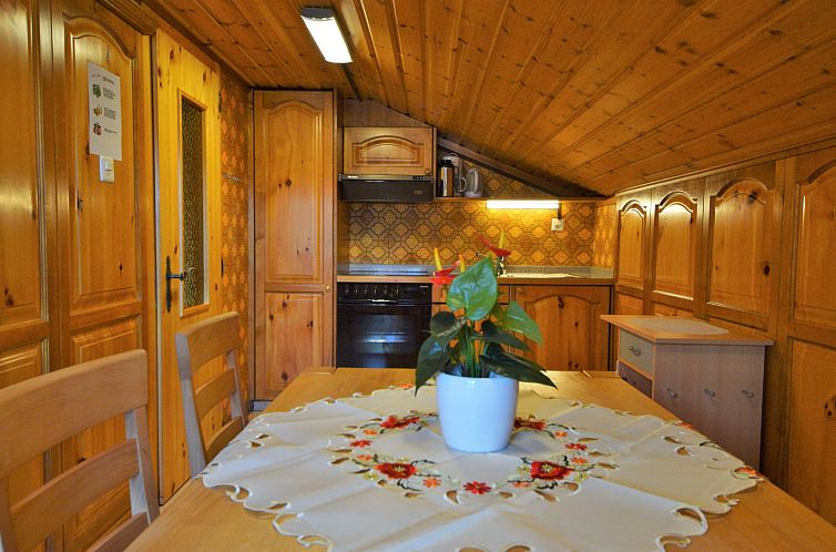 Appartement Glacier-Sport, (Grächen), 1053